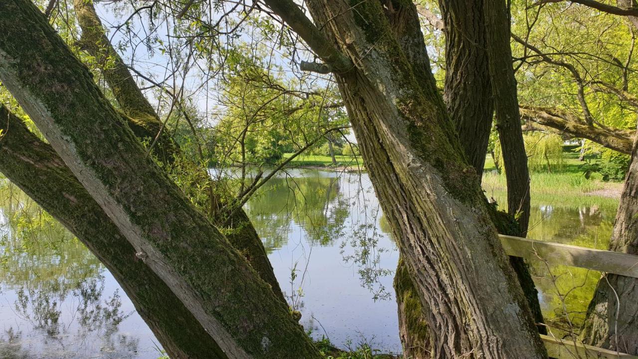 Holly Cottage, Hidden Gem In The Yorkshire Wolds Welton  Екстериор снимка