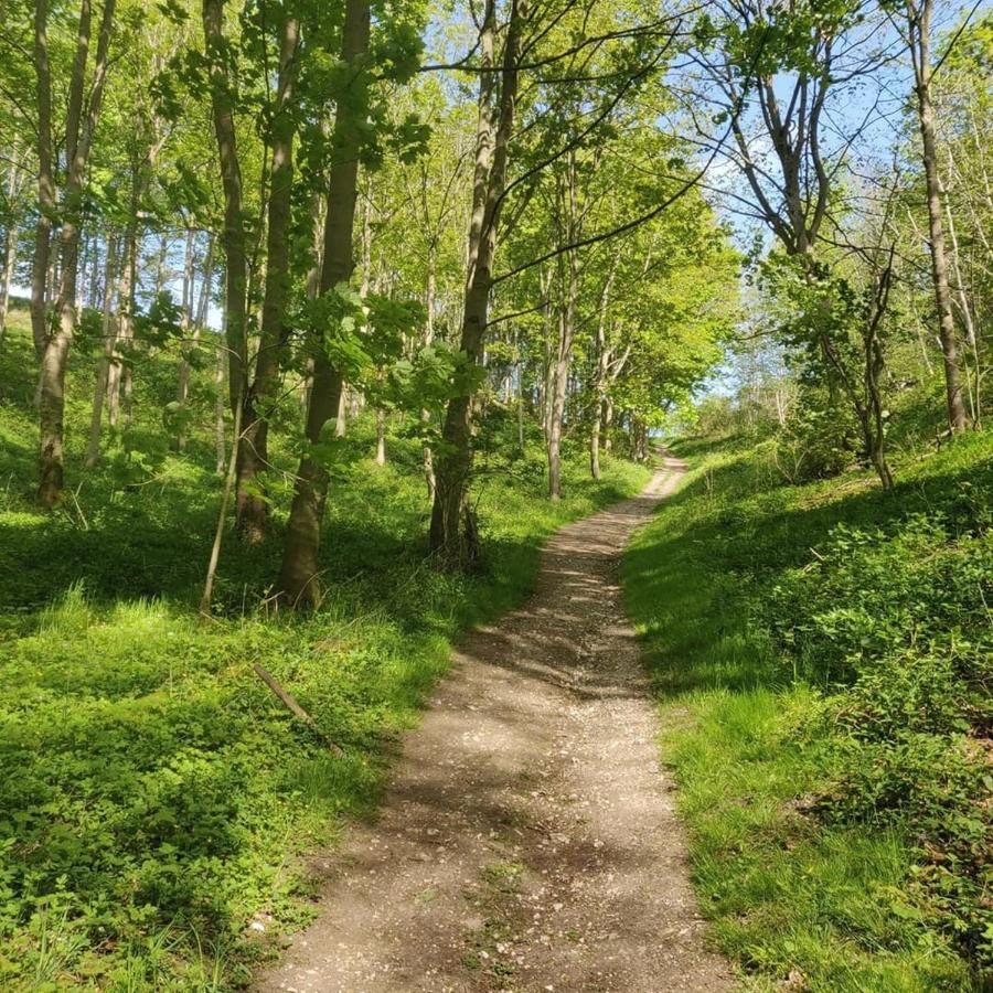 Holly Cottage, Hidden Gem In The Yorkshire Wolds Welton  Екстериор снимка