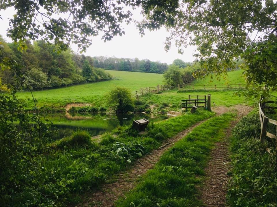 Holly Cottage, Hidden Gem In The Yorkshire Wolds Welton  Екстериор снимка