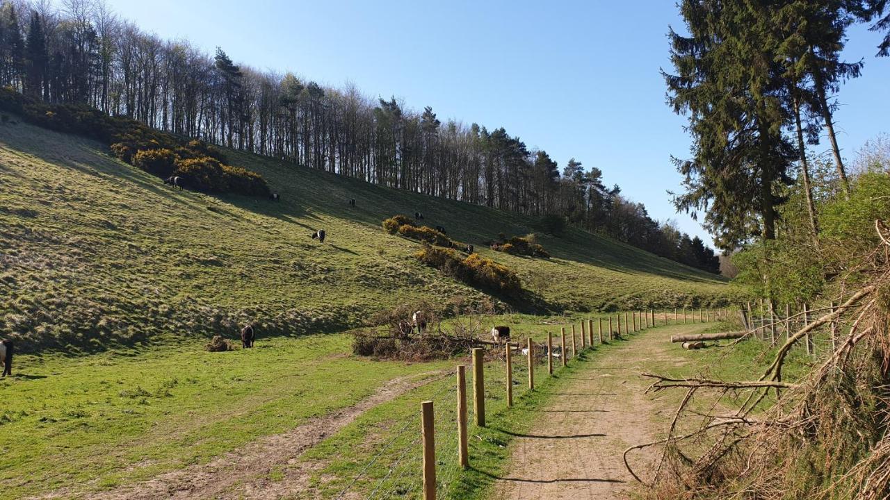 Holly Cottage, Hidden Gem In The Yorkshire Wolds Welton  Екстериор снимка